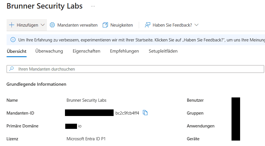 Microsoft Entra tenant overview for Brunner Security Labs